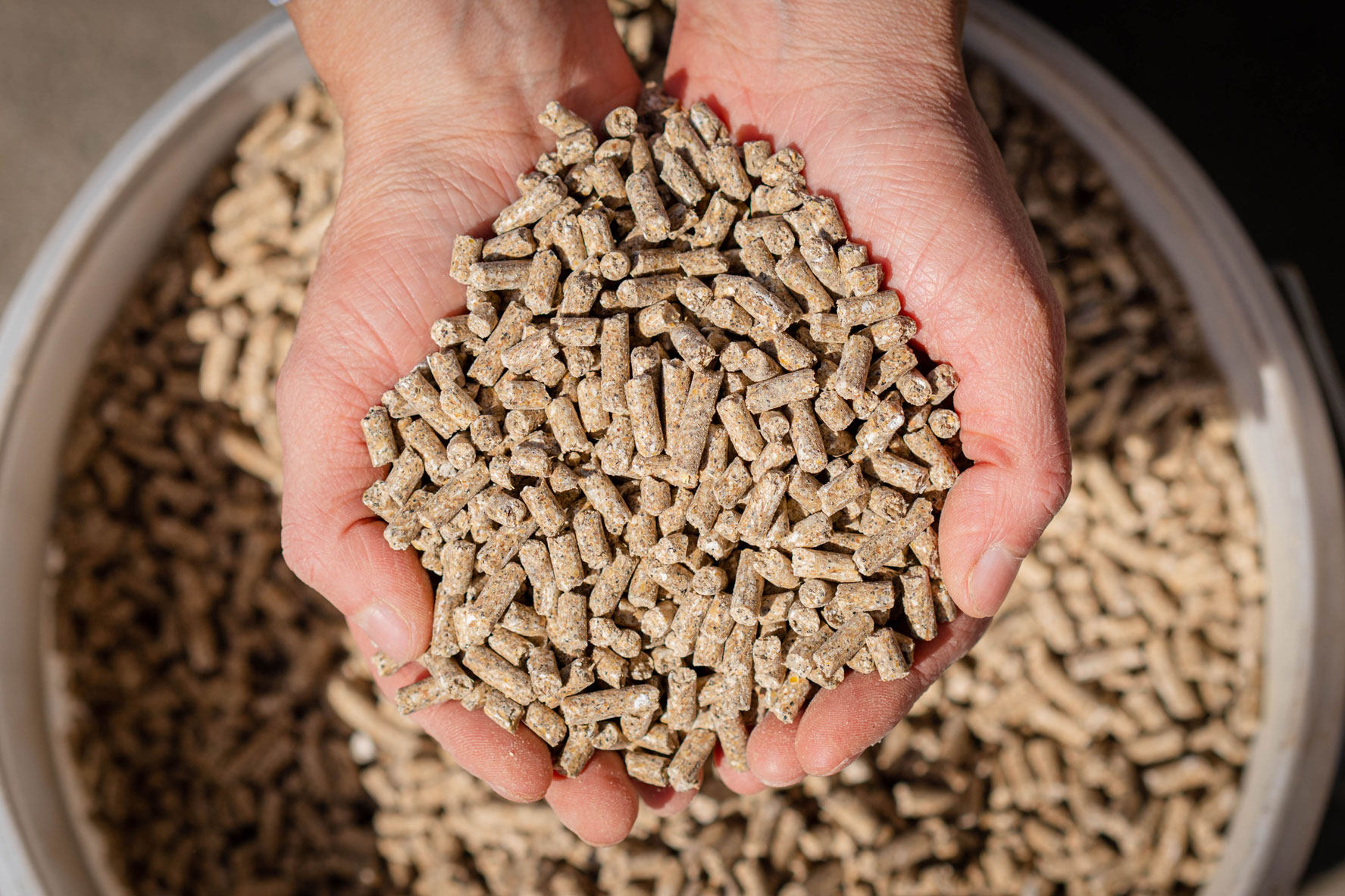 Lead Feed