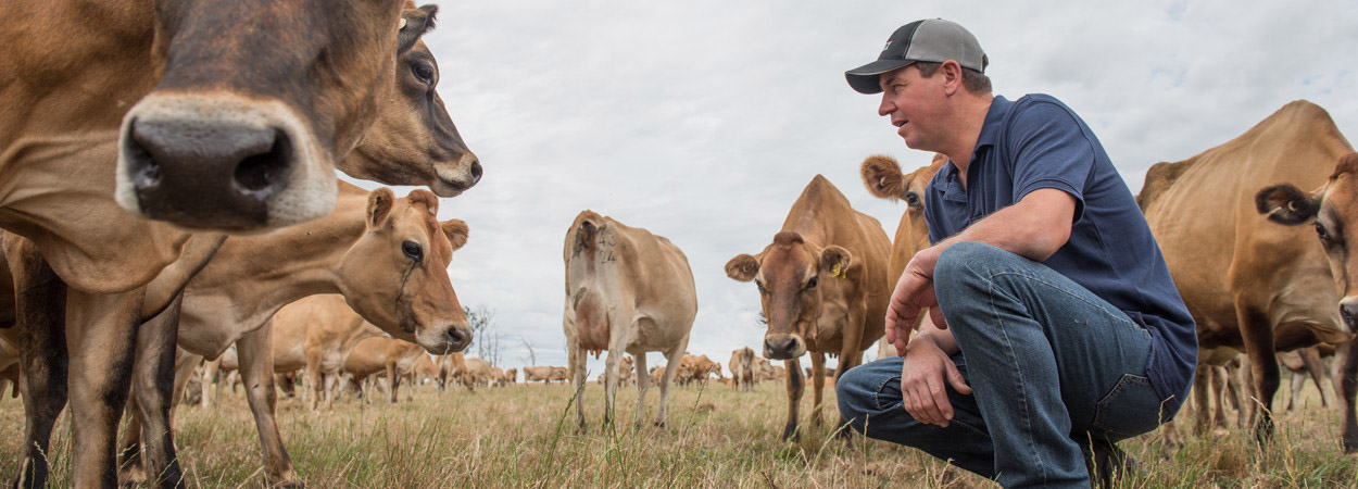 Rob Anderson, Drouin West
